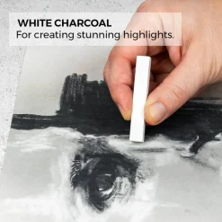 Zieler® 24 Piece Artists Charcoal Drawing Set