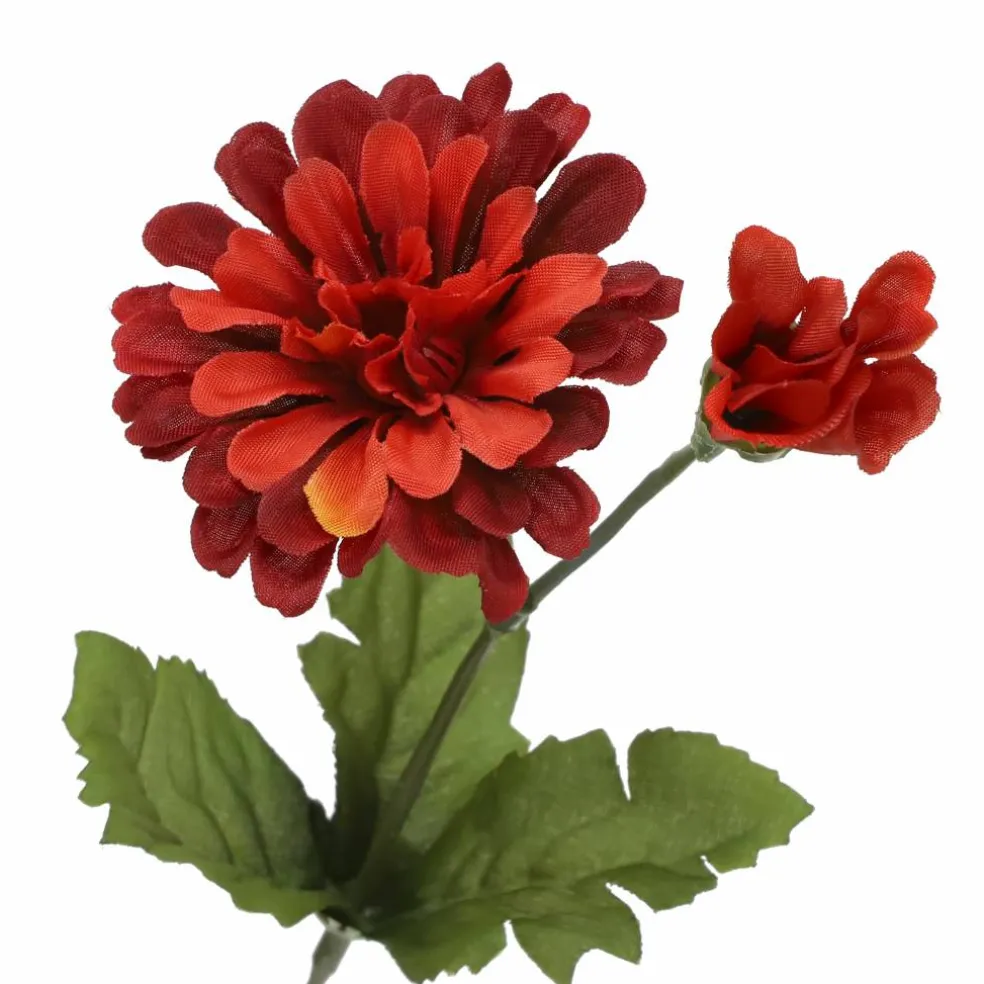 14" Zinnia Bush by Ashland®