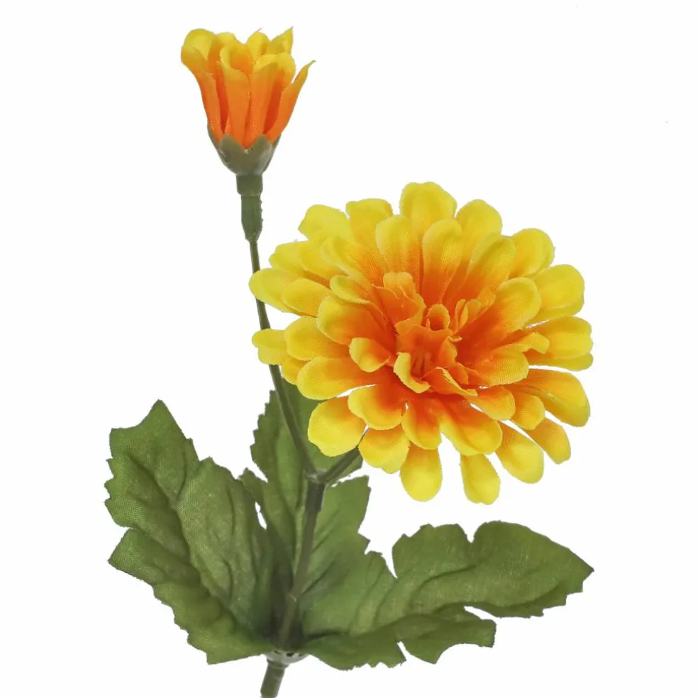 14" Zinnia Bush by Ashland®