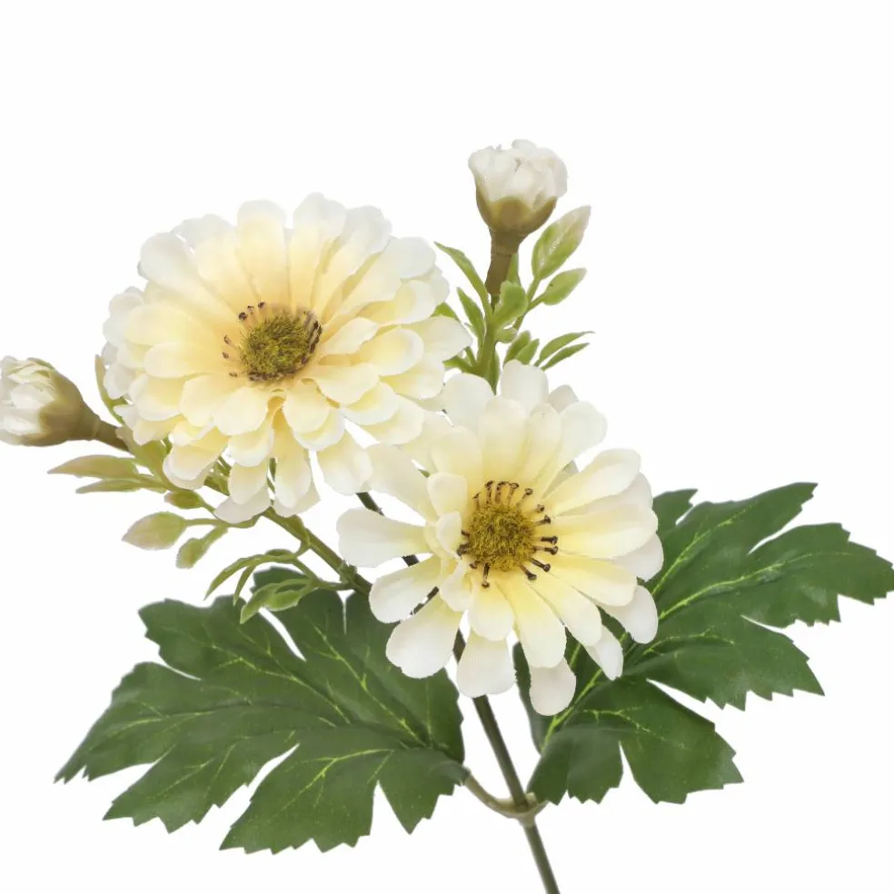 14" Zinnia Bush by Ashland®