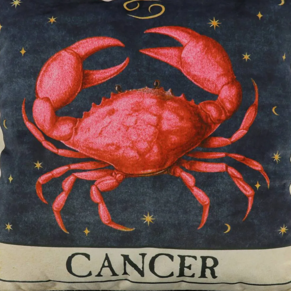 16" Zodiac Pillow by Ashland®