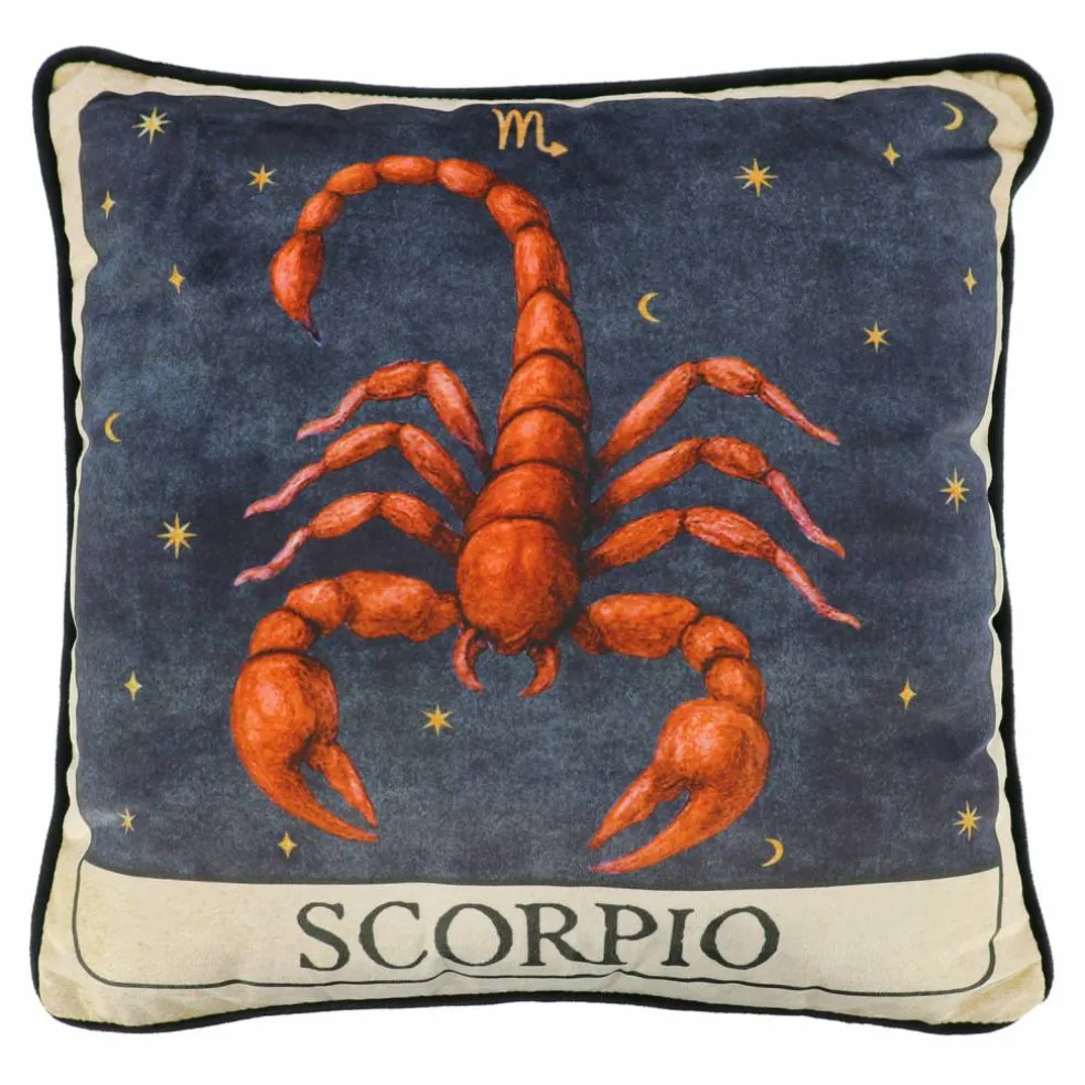 16" Zodiac Pillow by Ashland®