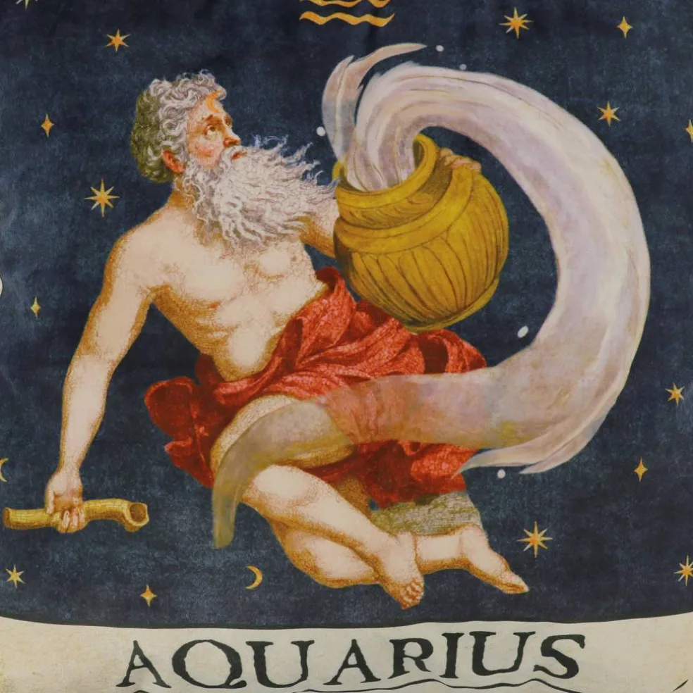 16" Zodiac Pillow by Ashland®