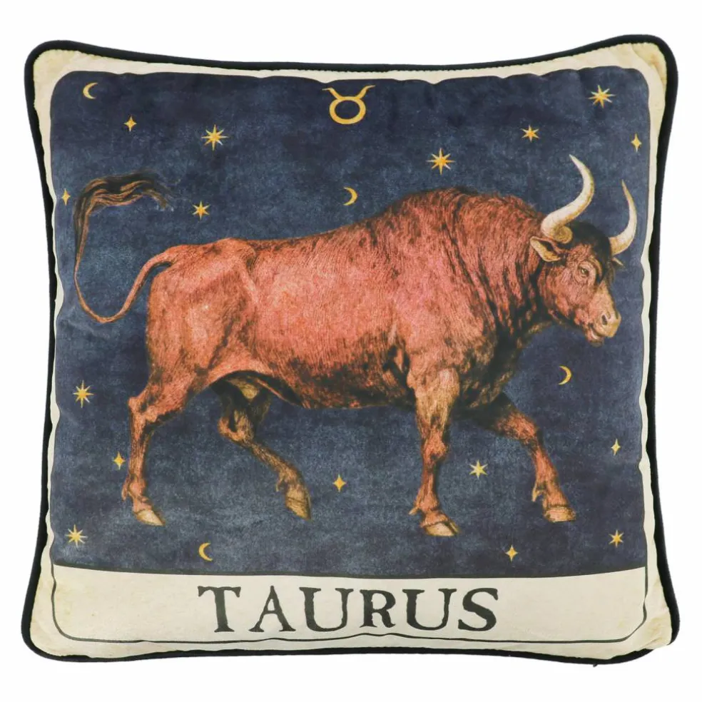 16" Zodiac Pillow by Ashland®