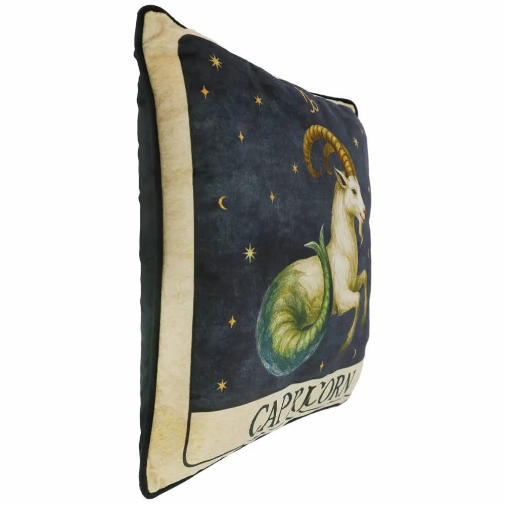 16" Zodiac Pillow by Ashland®