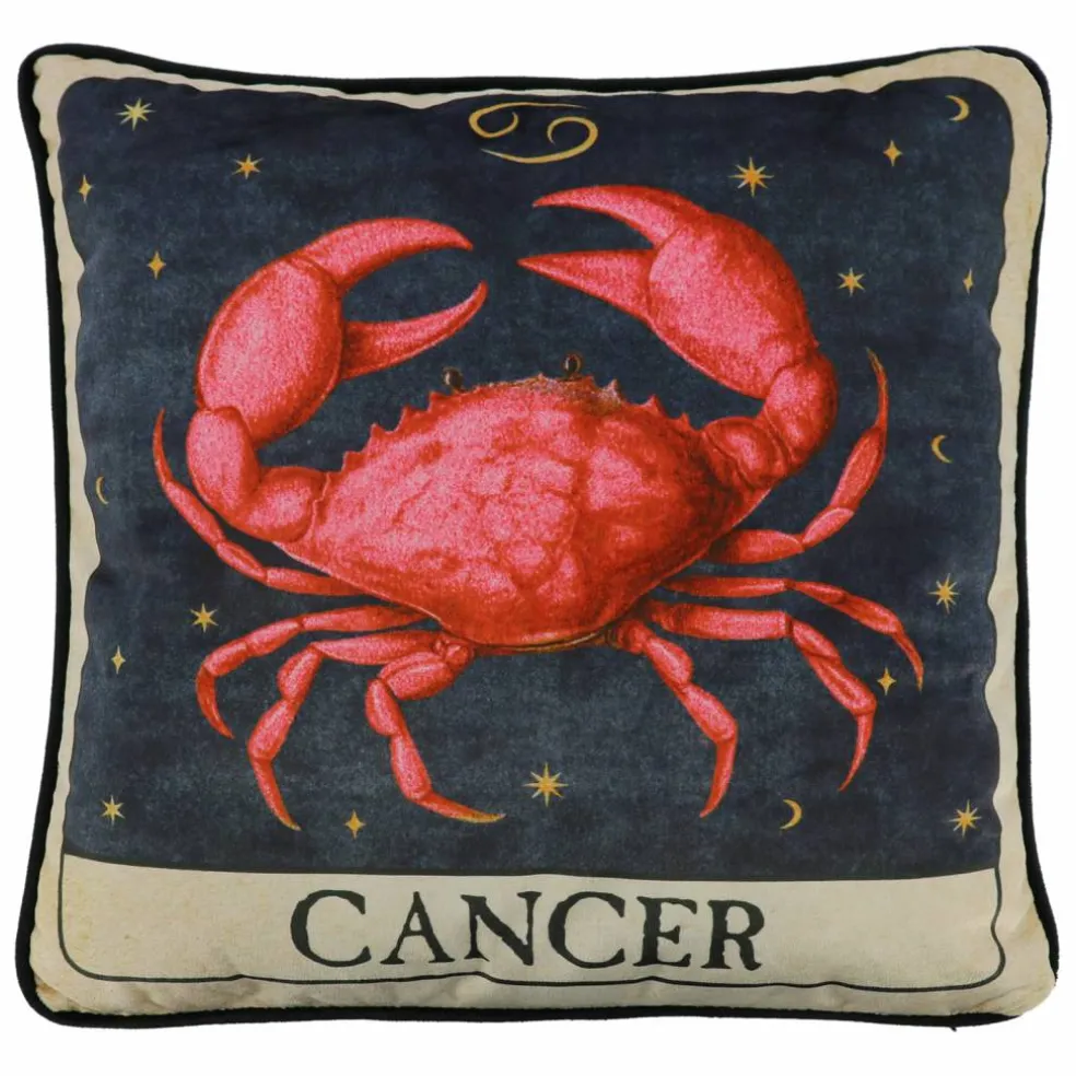 16" Zodiac Pillow by Ashland®