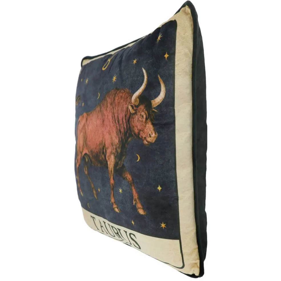 16" Zodiac Pillow by Ashland®