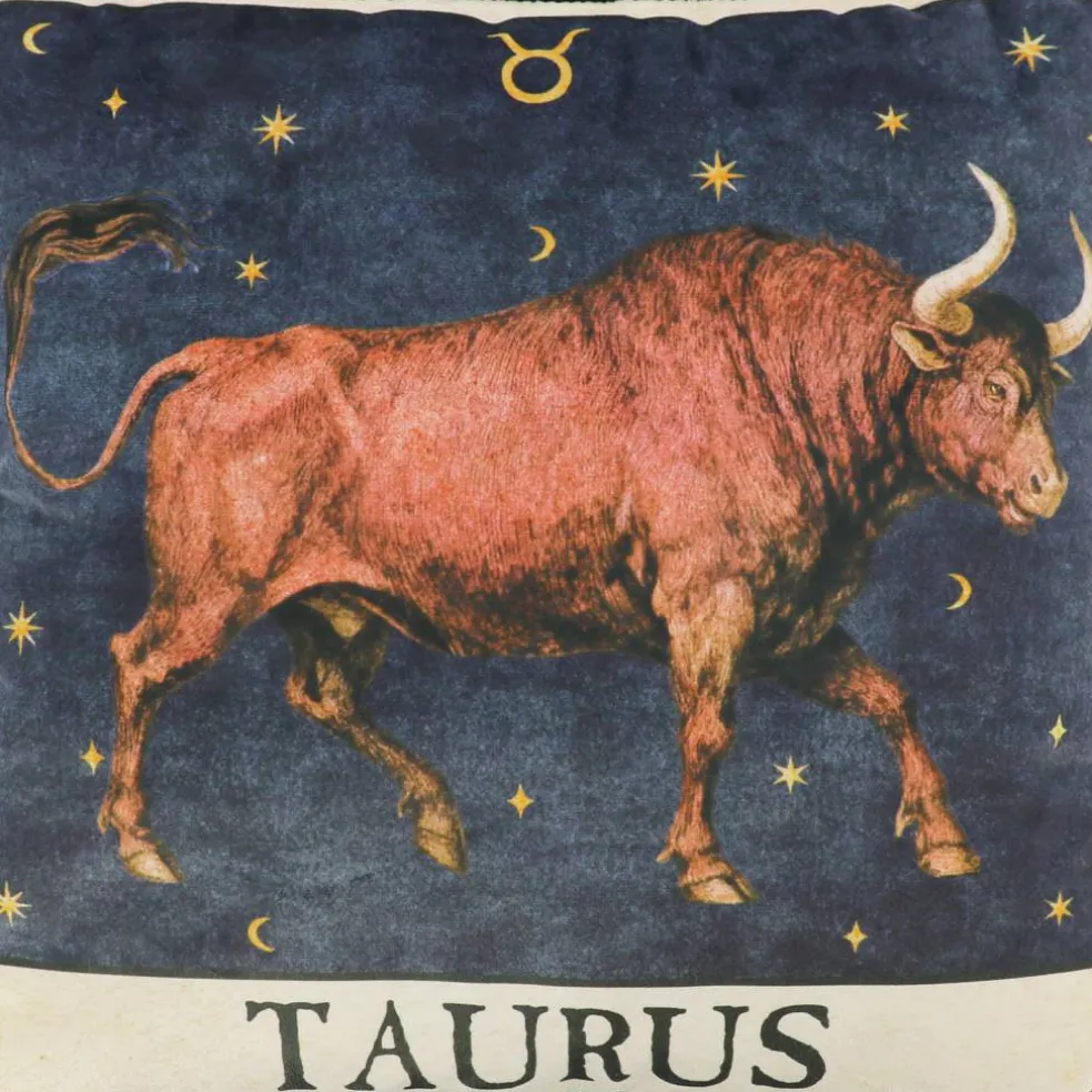16" Zodiac Pillow by Ashland®