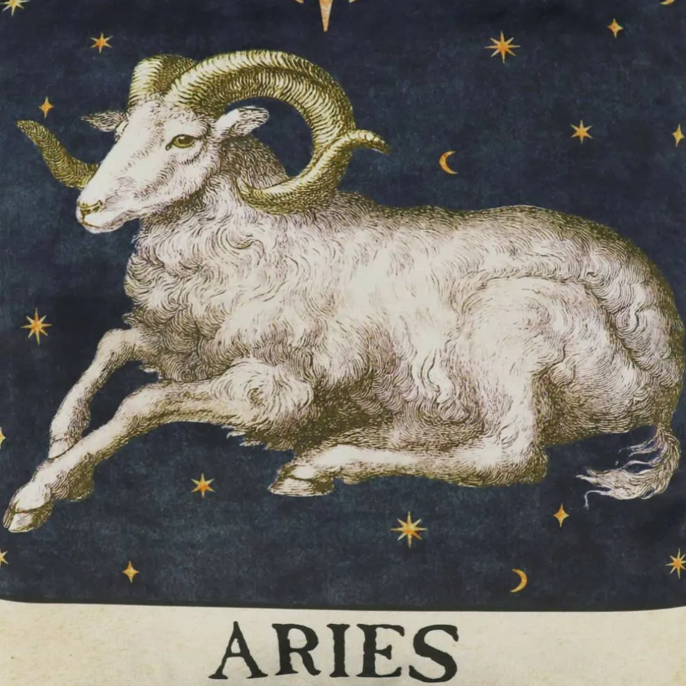 16" Zodiac Pillow by Ashland®