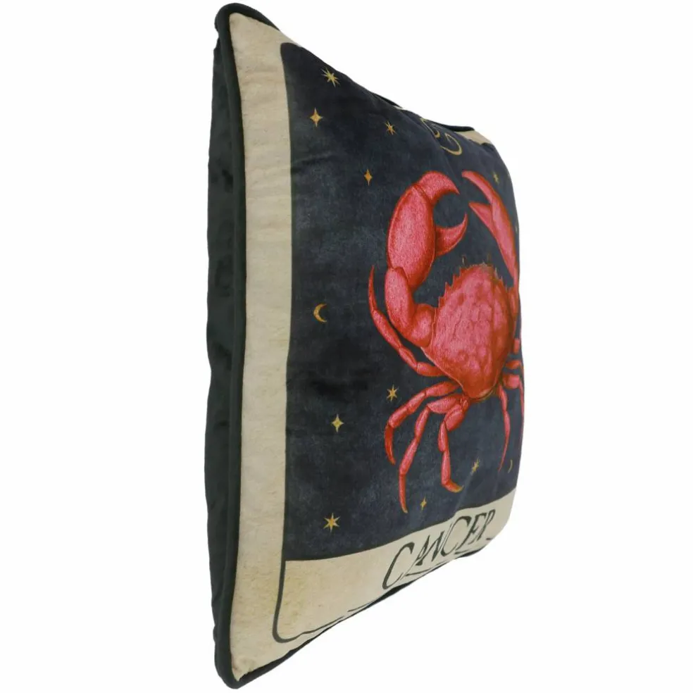16" Zodiac Pillow by Ashland®