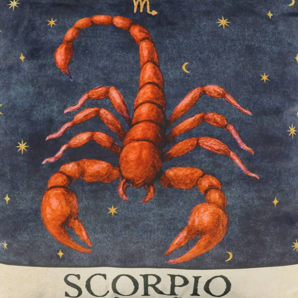 16" Zodiac Pillow by Ashland®